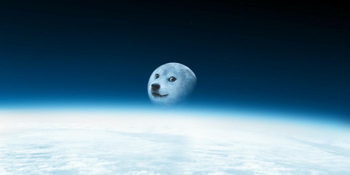 2560x1440 Doge Wallpaper (30+ images) on Genchi.info