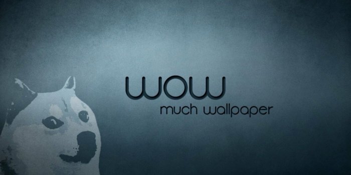 1472x837 Doge Meme Wallpaper 1920X1080 | Amazing Wallpapers
