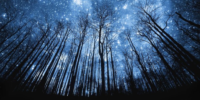1920x1080 Unless Starry Night Wallpaper Hd | Wordpress installed using