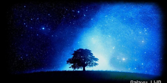 1280x720 Starry Night Wallpaper for Android - APK Download