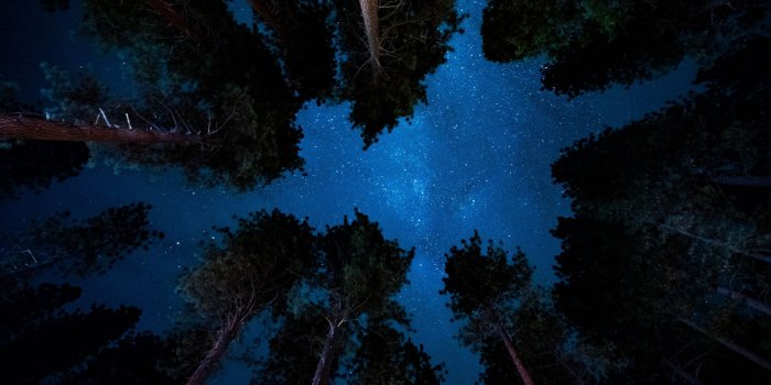 1920x1080 Starry Night Wallpaper Hd 1920x1080 | Thecharmingstyle.com