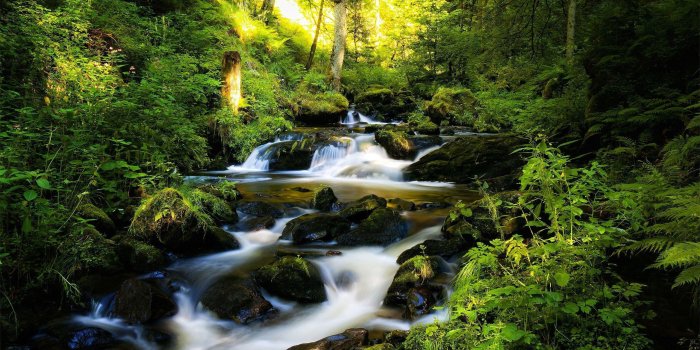 2560x1600 Streams Wallpapers