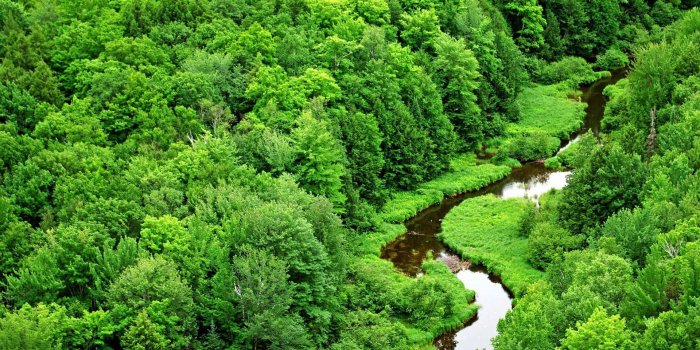 1920x1200 Rivers and Streams Animals | river stream scenery wallpaper