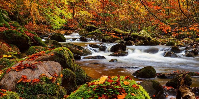 1920x1080 Autumn Mountain Stream Wallpapers - Top Free Autumn Mountain