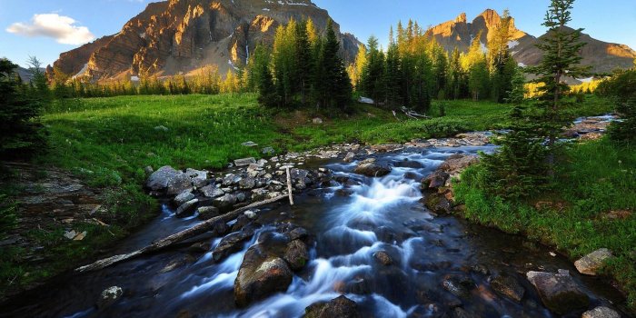 2560x1600 River Stream Background Wallpaper 03735 : Wallpapers13.com