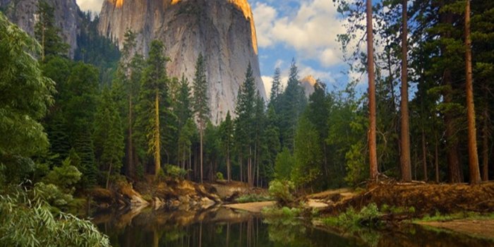 1024x768 Free download River Woodland Nature Wallpaper Image