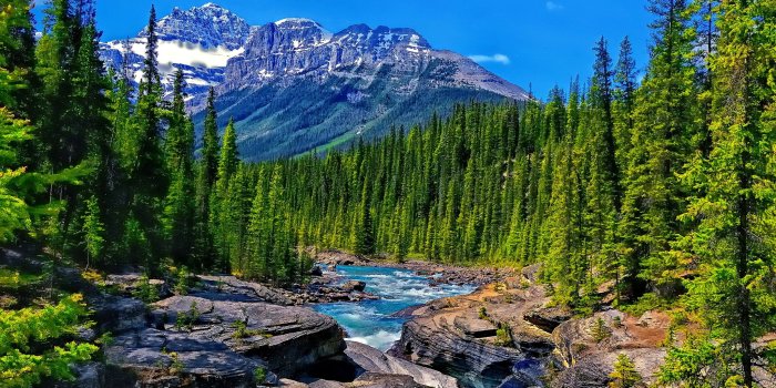 2048x1338 Mountain Stream With Flowers - Mountains And Rivers