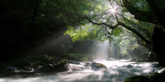 1920x1200 Wallpaper's Collection: «Stream Wallpapers»