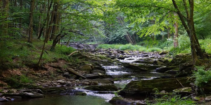 2560x1440 Desktop Wallpapers USA West Virginia, Monongahela river