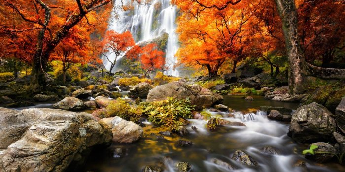 2048x1345 forests, waterfalls, trees, streams, fall, nature, rivers