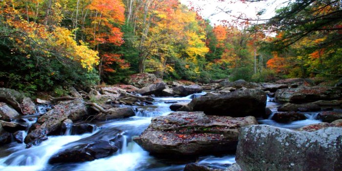 2560x1440 Autumn Mountain Stream Wallpapers - Top Free Autumn Mountain