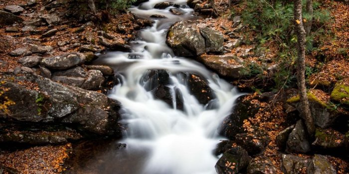 1000x1500 Creek Pictures | Download Free Images on Unsplash