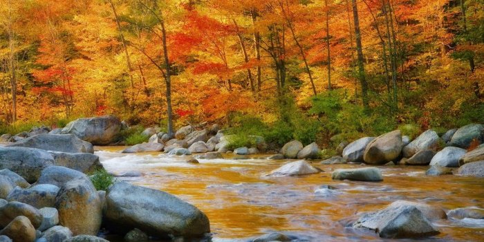 1600x900 River | Free Download HD Desktop Wallpaper Backgrounds