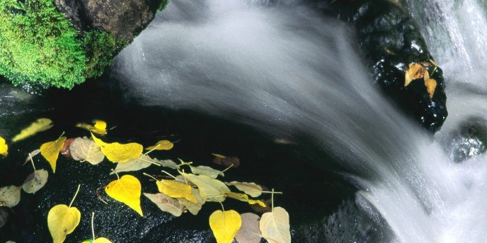 1600x1200 Rush Mammoth Mountain California - Rivers And Streams Wallpaper