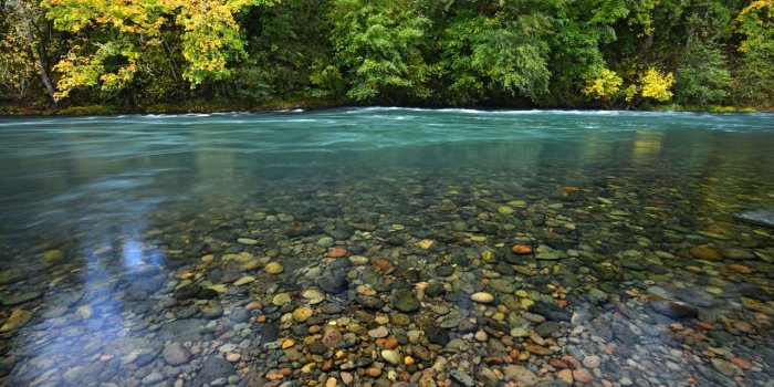 1280x854 What is the Oregon Stream Protection Coalition - Oregon