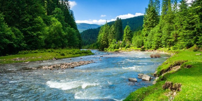 1920x1080 River, sun, greenery, trees - Phone wallpapers