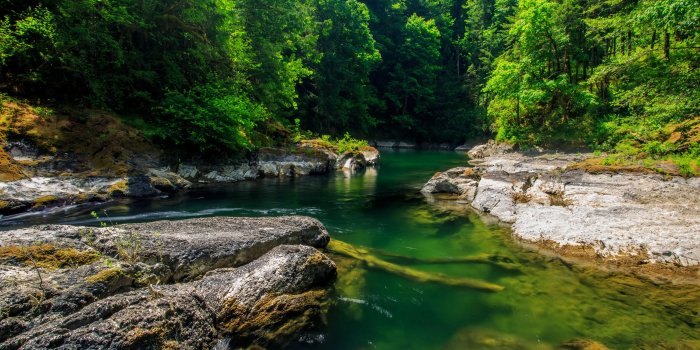 3840x2160 Mountain Forest Stream ❤ 4K HD Desktop Wallpaper for 4K