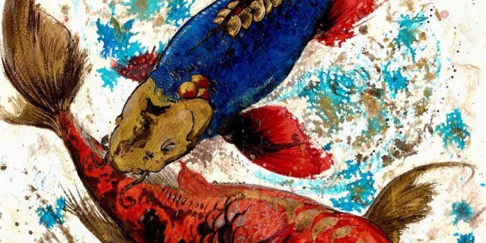 900x1200 Tattoo Japanese Koi Wallpapers - Top Free Tattoo Japanese