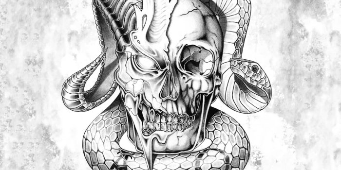1600x1200 Traditional Skull And Snake Wallpaper - 79 Traditional Snake