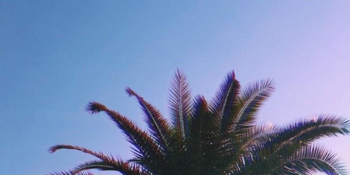 720x1280 i wanna share the pics i took with u and if u like them u