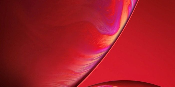 828x1792 iPhone XR Wallpaper HD - 2019 Cute iPhone Wallpaper