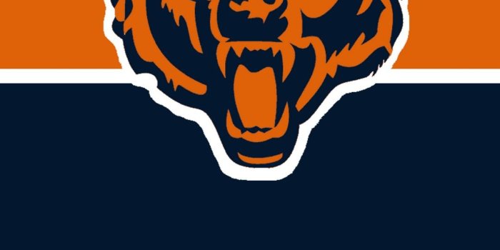 1080x1920 Chicago Bears iPhone XR Wallpaper - 2019 NFL Wallpaper