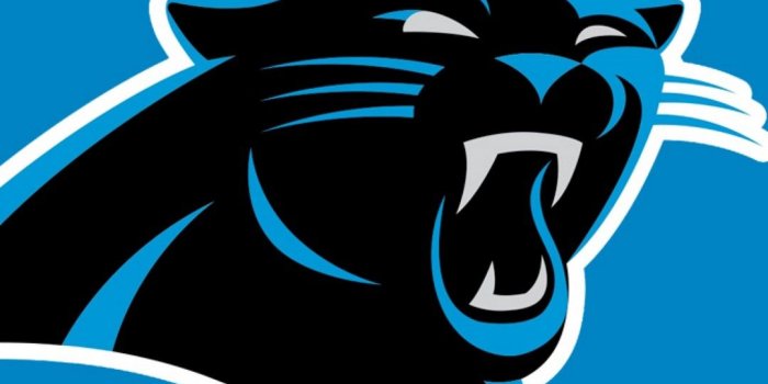 1080x1920 Carolina Panthers iPhone XR Wallpaper - 2019 NFL Wallpaper