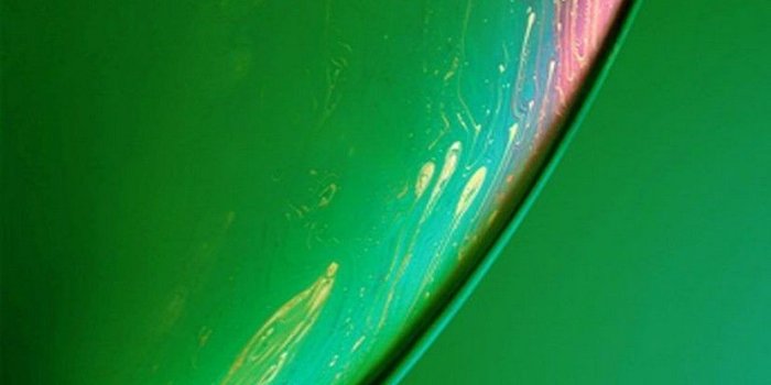 828x1792 Apple iPhone XR Wallpaper - 2019 Cute iPhone Wallpaper