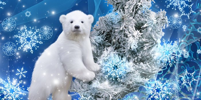 1920x1080 46+] Christmas Polar Bear Wallpaper on WallpaperSafari