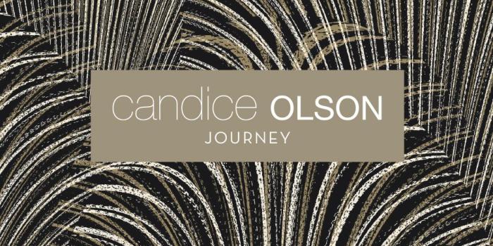 963x1300 Brand Collection Book Search Page