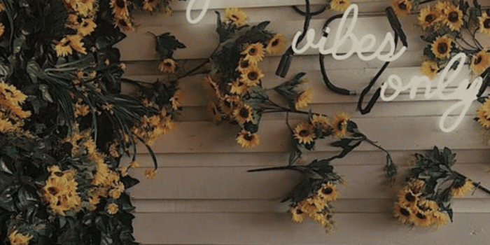 898x1386 good vibes only | neon lights | sunflowers | best life