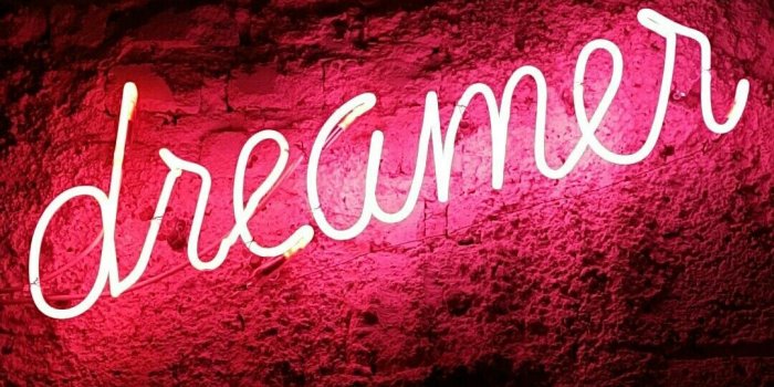 1080x1920 Dreamer Neon Sign - Light Free Wallpaper & Backgrounds