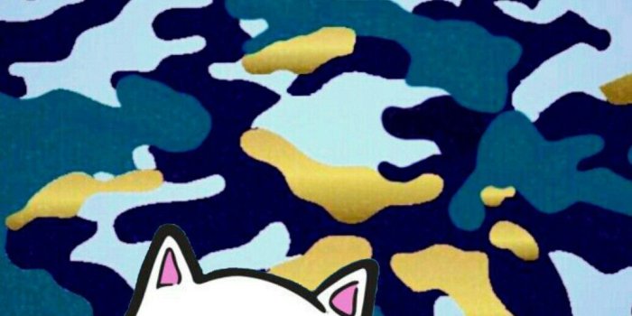 1034x1792 RIPNDIP Wallpapers - Top Free RIPNDIP Backgrounds