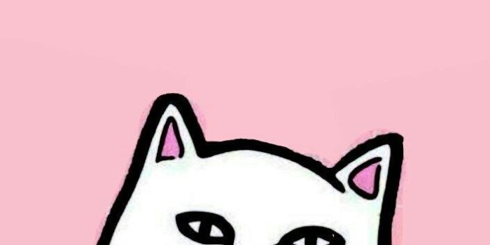 706x1280 RIPNDIP Wallpapers - Top Free RIPNDIP Backgrounds