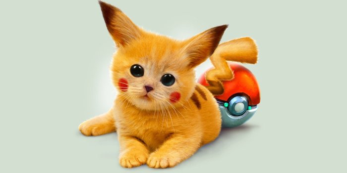 1920x1080 pokemon, cats, Pikachu, Google, Pokeball :: Wallpapers
