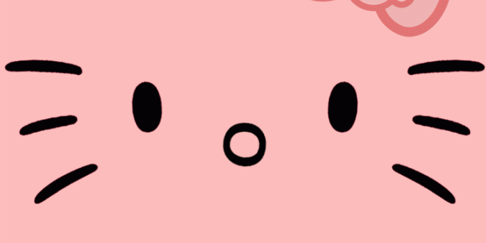 768x1024 49+] Hello Kitty iPad Wallpaper on WallpaperSafari