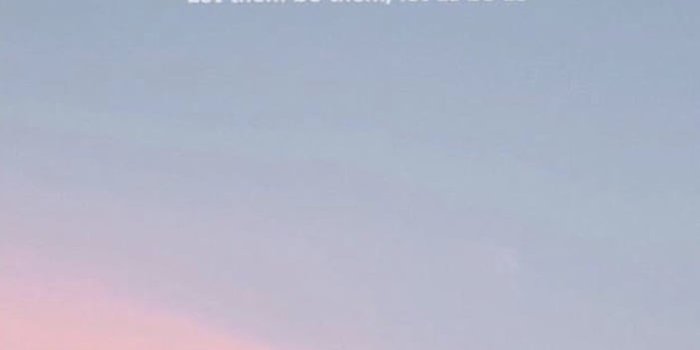 701x1280 Aesthetic Wallpapers