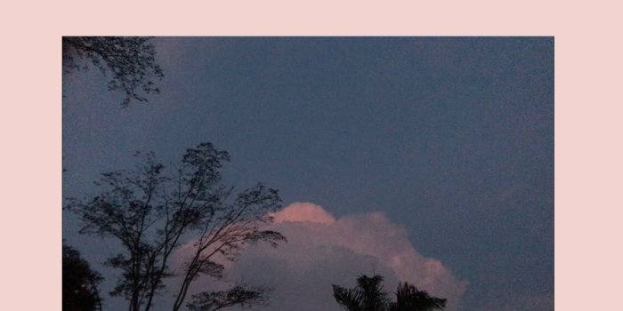 1125x2000 Aesthetic Wallpapers