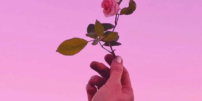 1080x1350 cute pink aesthetic wallpaper – WallPaper