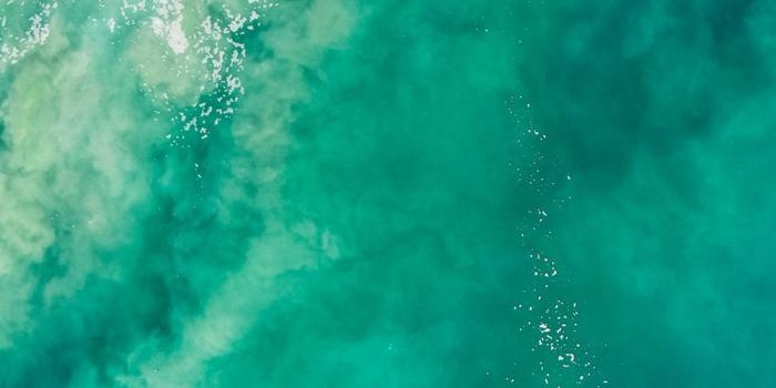 1000x1779 iPhone 6 Wallpapers: Free HD Download [500+ HQ] | Unsplash