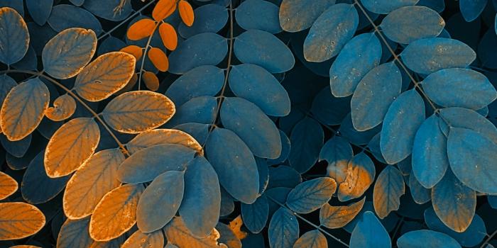 1845x3997 HDR nature photography wallpapers for iPhone 11