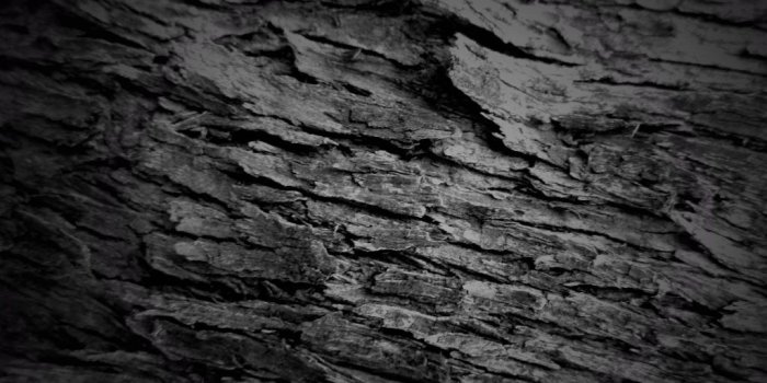 1024x768 8 Black Wallpapers HD (JPG) | OnlyGFX.com