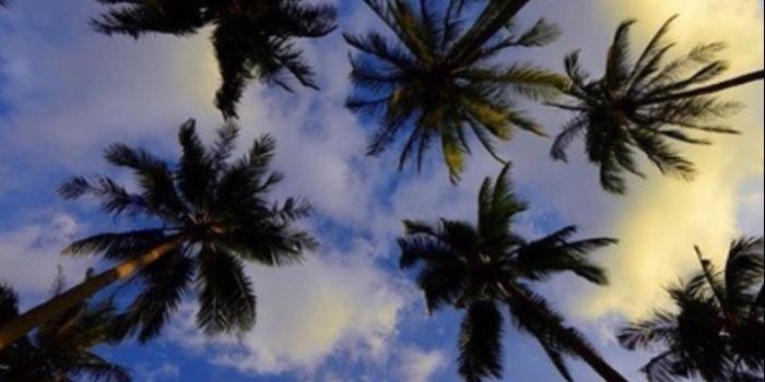 720x1280 Tumblr Live Wallpaper - Dope Wallpapers Hd Iphone 6