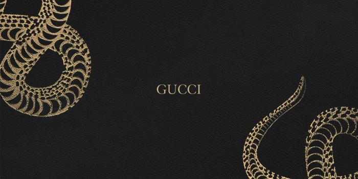 1500x1500 Gucci Wallpaper Beautiful Gucci Snake Wallpapers Wallpaper