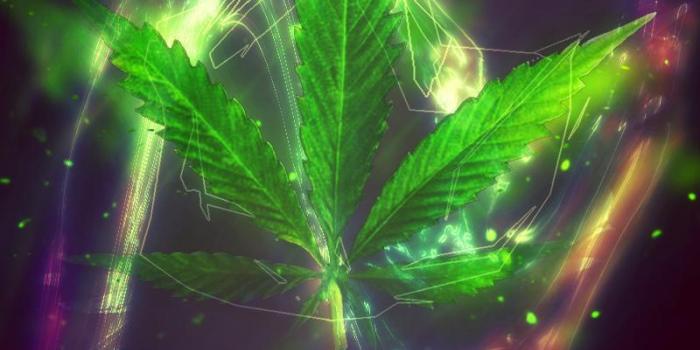 800x1250 420 Marijuana Weed Wallpapers for Android - APK Download