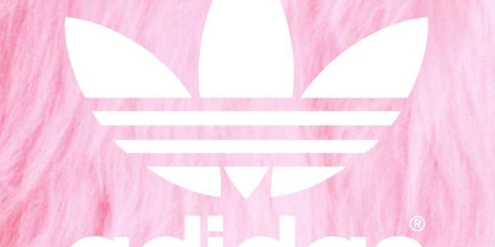 1080x1920 Adidas Girls Wallpapers - Top Free Adidas Girls Backgrounds