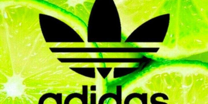 720x1282 19+] Adidas Wallpaper Green on WallpaperSafari