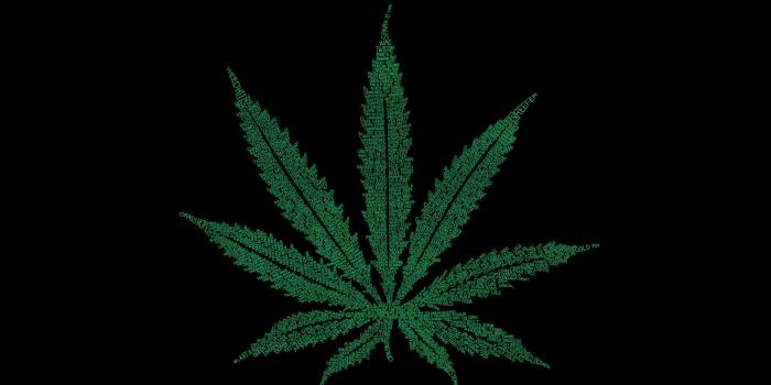 1920x1200 marijuana wallpapers for mac desktop