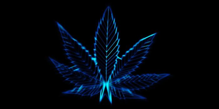 1600x1200 Marijuana Wallpapers & Backgrounds – Page 3 – 4kwallpaper.org