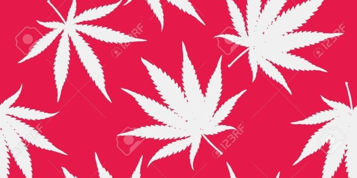 1280x1280 Red Weed Wallpaper shared by amyjames on We Heart It